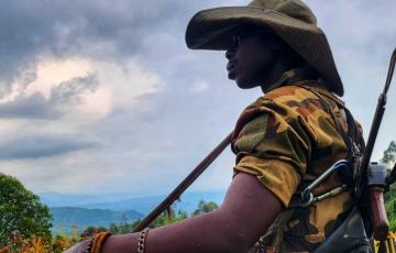 Guerre contre le M23 : Les FARDC poursuivent leur progression sur la route Sake-Minova