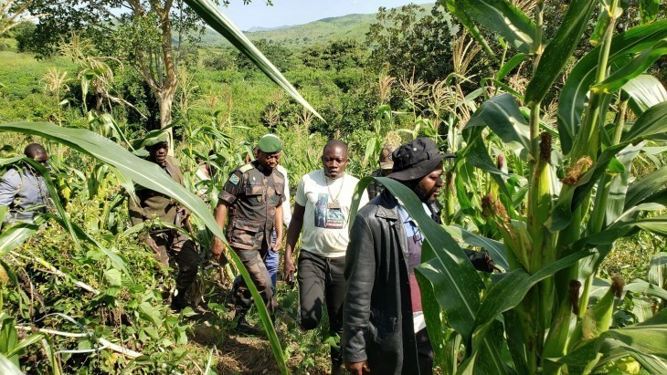 Ituri : Des miliciens du groupe d’autodéfense Zaïre remettent 13 armes aux FARDC à Dala