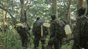 Ituri : l’UPDF menace de poursuivre les factions CODECO qui refusent la paix