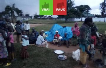 Beni: Faux, les déplacés de guerre ne viennent pas préparer le terrain au M23