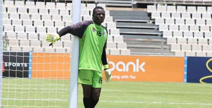 CHAN 2023: Deux joueurs de l'AS Dauphin noir dans la première présélection des léopards A'