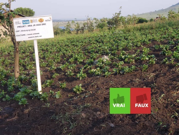 Beni : Polémique autour d’un projet de développement qui cible des champs des paysans