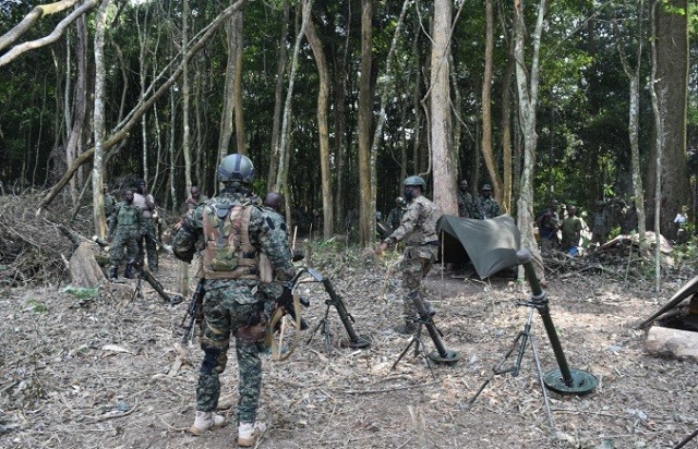 Opération Shujaa : Scepticisme autour de la proposition de création des unités locales de défense